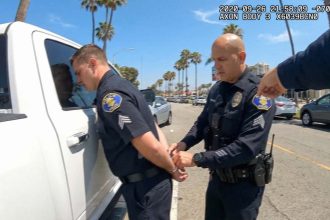 When Dumb Cops Try To Arrest Smart Cops