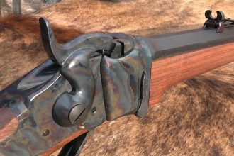 Which Old West Rifle killed the most Buffalo?