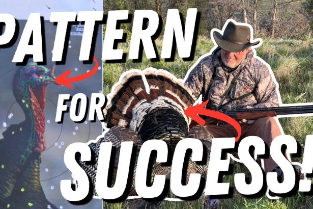 From Patterning to First Turkey — A New Hunter’s Success!