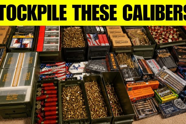 Top 7 Calibers You MUST Stockpile Before 2027 – Don’t Miss Out!