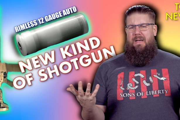 WOW! 10 New Guns Just Dropped!