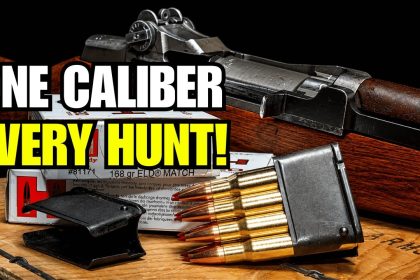 The ONLY Caliber That Can Hunt Everything in America!