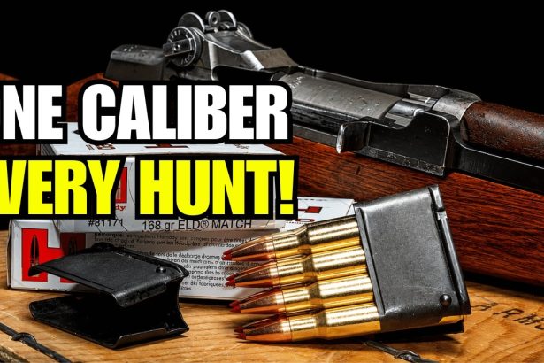 The ONLY Caliber That Can Hunt Everything in America!