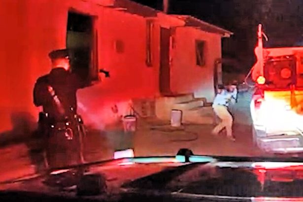 Traffic Stop Escalates Into Shootout With Armed Suspect