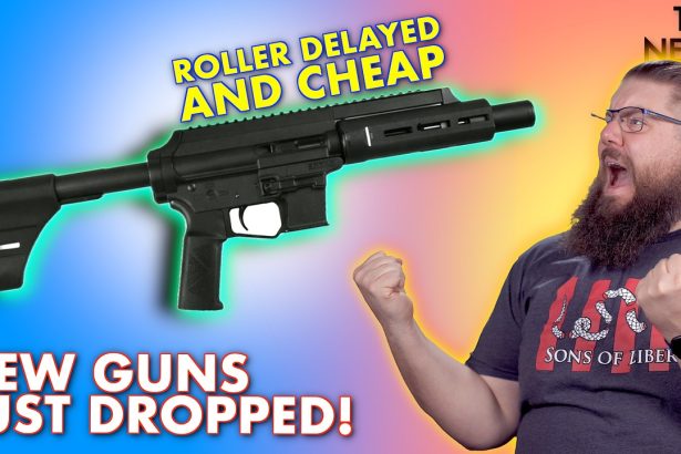 New Guns that are ACTUALLY affordable!