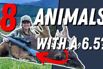 8 Animals. 9 Shots. One 6.5 Rifle!