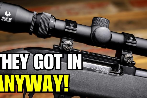 Beretta Lost the Fight, But Got Inside Ruger Anyway