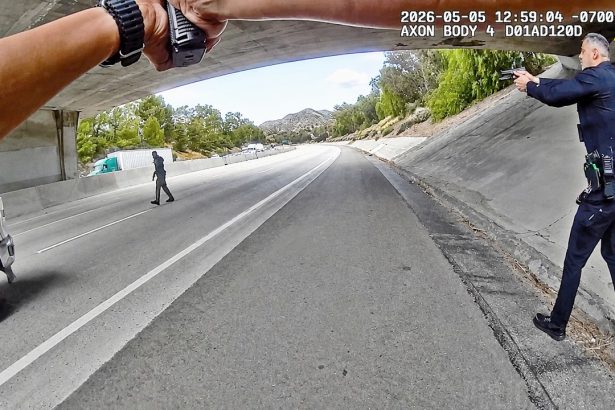 Freeway Carjacking Attempt Ends In Shooting