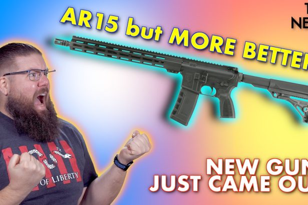 Can a cheap AR15 be the best?