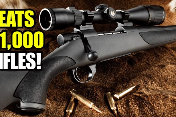 This 0 Rifle Outshoots ,000 Guns — 11 Best Value Rifles to Buy Right Now (2026)