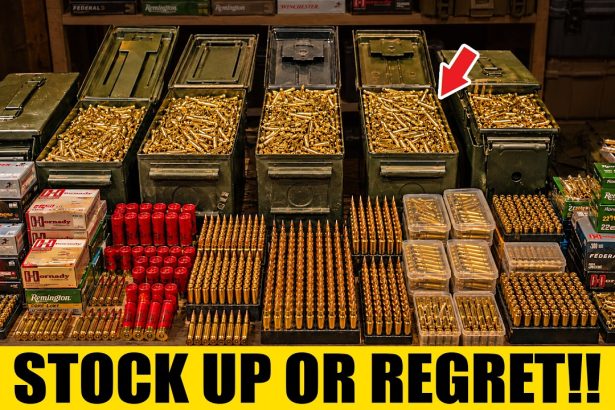 These 7 Calibers Are Still DIRT CHEAP in 2026 — But Prices Are Catching Up!