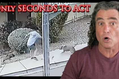 Defender Saves His Child From A Dog Attack | Active Self Protection