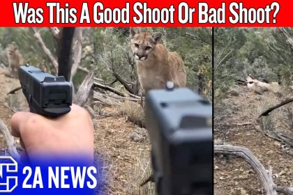 A Mountain Lion Stalked Him… And People Blamed The Man