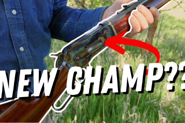 The Cartridge That Challenges the 45-70??