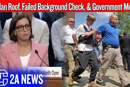 Government Fumbled Dylan Roof’s Background Check, Now Argues For Mercy