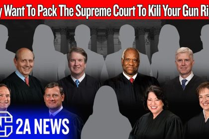 Anti-gun Democrats Can Undue Every Recent 2A Win With This One Move