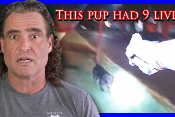 Homeowner Can’t Control His Dog Or Emotions | Active Self Protection