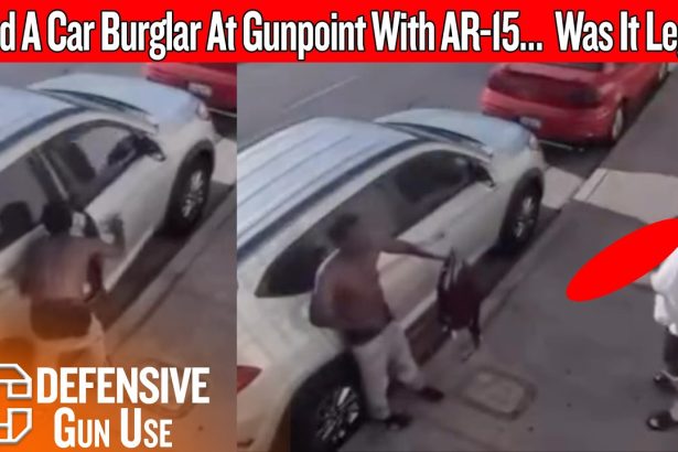 Armed Homeowner Stops Car Burglar With An AR-15