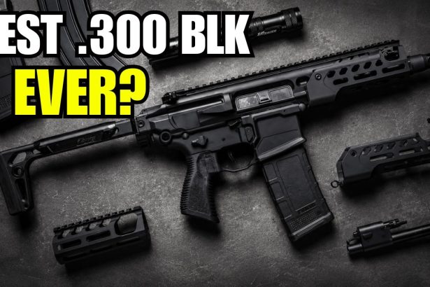 Sig Sauer Rattler LT Review: Is This The Best .300 Blackout Rifle?