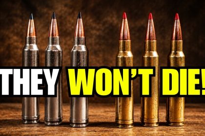 7 Forgotten Hunting Calibers That Refuse to Die