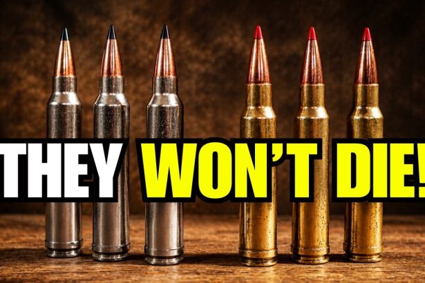 7 Forgotten Hunting Calibers That Refuse to Die