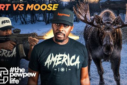 This Moose Didn’t Care About Warning Shots. That’s Why FRTs Matter