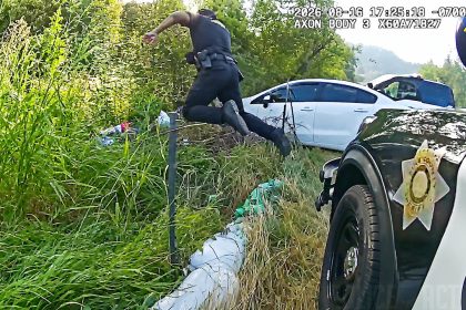 Deputy Pulls Off PIT Maneuver To Stop Fleeing Robbery Suspect