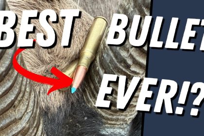 6 One-Shot Kills… Are These the Best Hunting Bullets Ever?