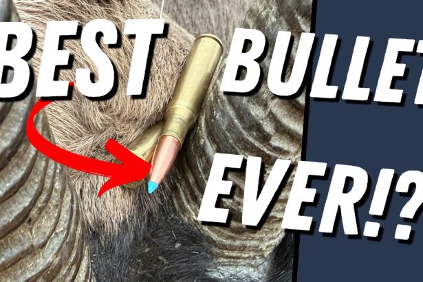 6 One-Shot Kills… Are These the Best Hunting Bullets Ever?
