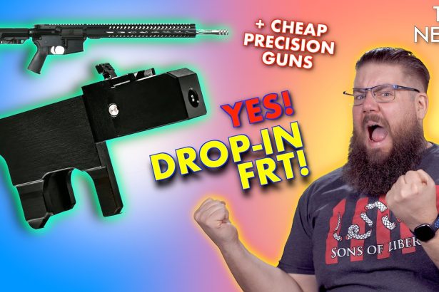 Cheap Precision Guns? Is that a thing now?