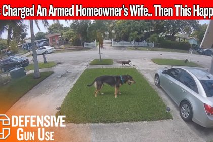 His Wife Was Trapped In The Driveway… Then He Came Back Armed