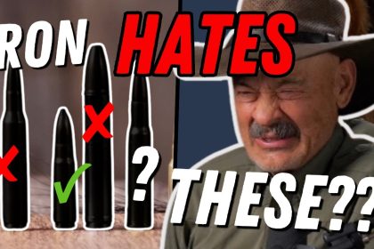 10 Cartridges Ron Loves to Hate!?